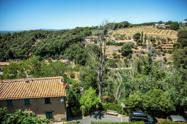 borgo alle mura 29